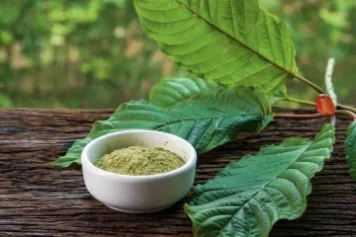 Kratomblattpulver RageFitness Kratomblattpulver RageFitness