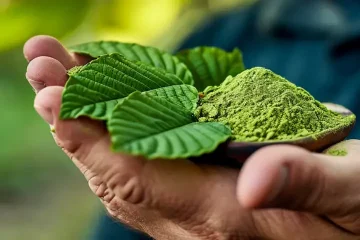 farbe von kratom